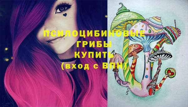 Альфа ПВП Приозерск